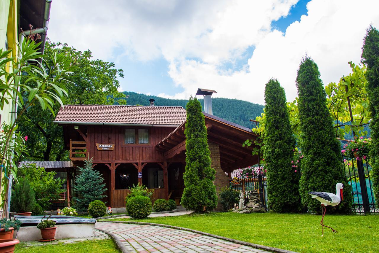 Pensiunea George Gura Raului Exterior photo
